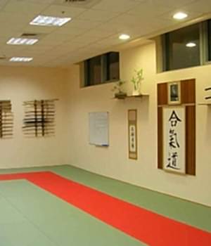 aikido, dojo, okul, tatemi, sensei, kurallar, disiplin, çocuk aikido, istanbul, etiler, 