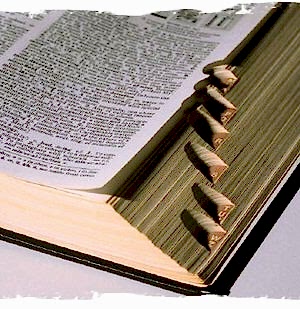 aikido, dojo, okul, tatemi, sensei, kurallar, disiplin, çocuk aikido, istanbul, etiler, terimler, halis duran, 